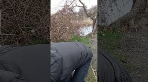 Шимано Альдебаран БФС. От 2х грамм легко, стабильно, просто