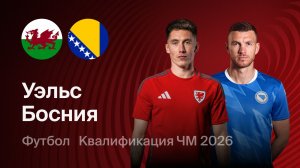 Уэльс - Босния и Герцеговина. Обзор матча.