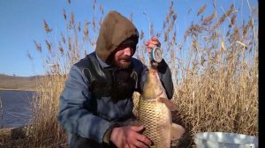 рыбалка на донки.Поимка ТРОФЕЯ