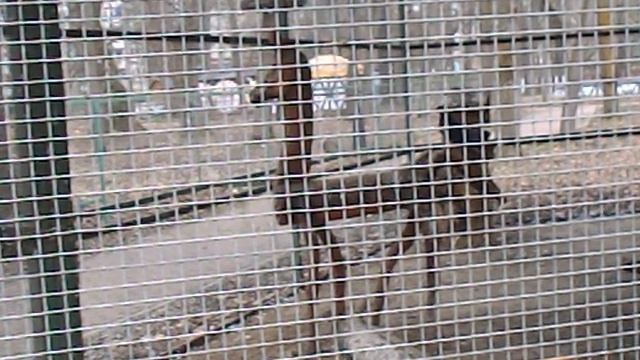 DSCN8591Парк Шерстяник март 2026 год