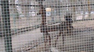 DSCN8591Парк Шерстяник март 2026 год