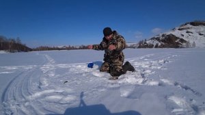 Срабатывает  КАЖДАЯ Жерлица# ПРОВЕРКА ЖЕРЛИЦ НА ПРУДУ#  Рыбалка  в Марте на ЩУКУ#!!!