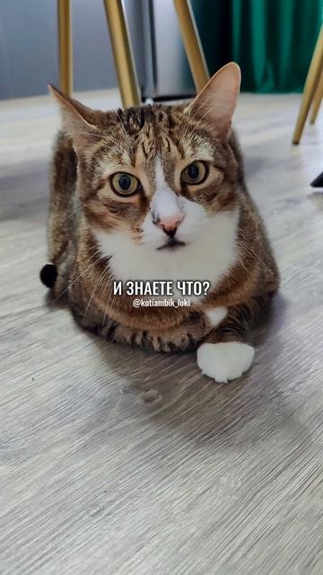 Когда пришёл на кухню, а там...😵💫