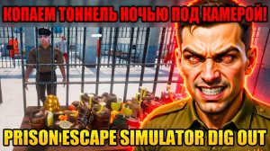 КОПАЕМ НОЧЬЮ ТОННЕЛЬ ПОД КАМЕРОЙ В ТЮРЬМЕ!ИГРА PRISON ESCAPE SIMULATOR DIG OUT ПРОХОЖДЕНИЕ