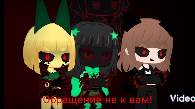 Фига себе, Кто их так поколошматил?( П.С это кошка мира ЕХЕ)