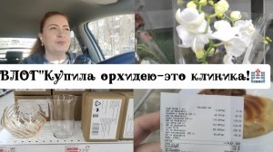 ВЛОГ"Купила орхидею-это клиника 🏥!)😊