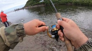 РЫБАЛКА.САХАЛИН.ГОРБУША.