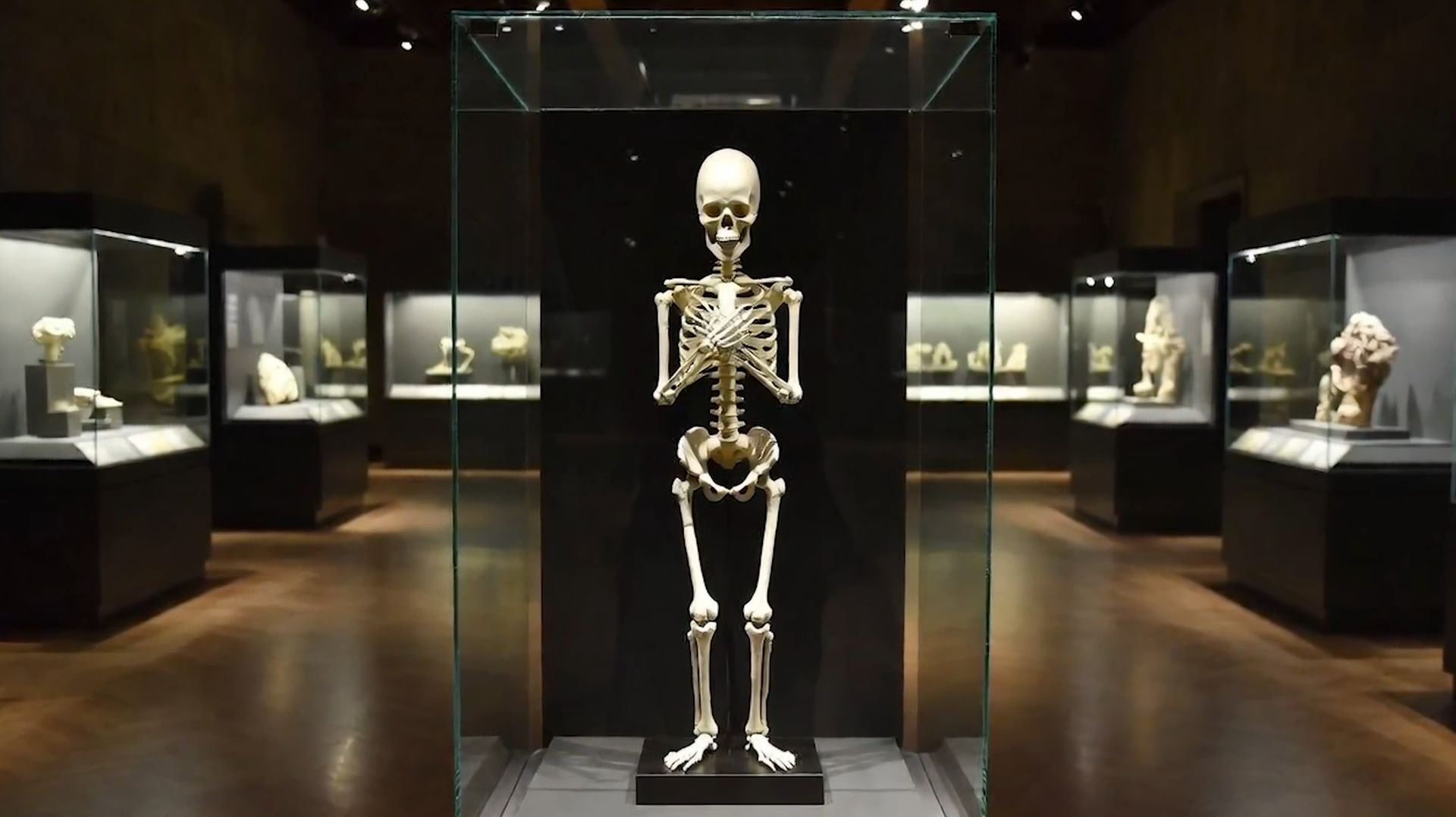 Странная ДНК древних людей: что на самом деле нашли учёные