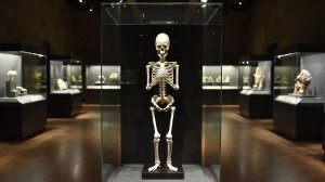 Странная ДНК древних людей: что на самом деле нашли учёные