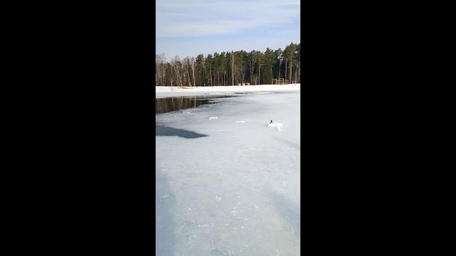 Утро начинается с ледяного кратера