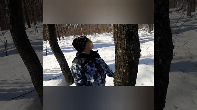 Март-первый месяц весны.