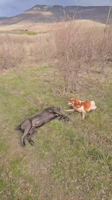 Крым Горная прогулка с Цицероном