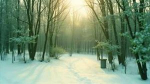 Зимушка-зима. (стих в прозе).