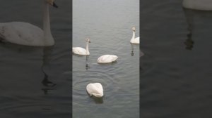 Берег Надежды!-пос.Молодежный