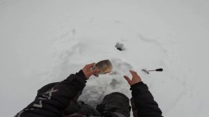 Жерлицы срабатывают одна за другой! Не успеваю ловить живца