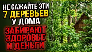 Какое дерево растёт под вашим окном? 7 деревьев у дома которые забирают здоровье и деньги из семьи