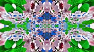 Весна! Полёт цветочных лепестков 4! Киностудия Мудрого Кота Тимофея!