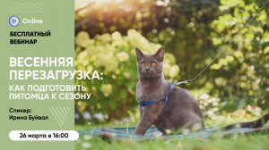 Бесплатный вебинар «Весенняя перезагрузка: как подготовить питомца к сезону»