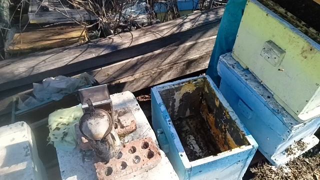 первая весенняя ревизия пчёл 2026. часть 1