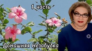 1 часть. К Ивану в гараж больше не пойдёт❗️В нормальных местах ремонтировать будет❗️