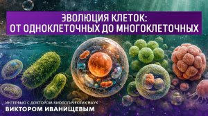Эволюция клеток: от одноклеточных до многоклеточных.