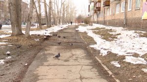 Самую масштабную за последние годы реновацию теплосетей проведёт Байкальская энергетическая компания