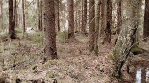 Есть моменты...