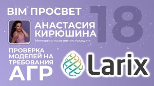 Чек-лист Проектировщика для самостоятельной проверки ЦИМ АГР. Анастасия Кирюшина. Larix. BIM Просвет