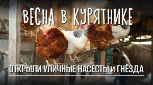 Открываем ЛЕТНИЙ СЕЗОН для КУР: насесты, поилки, гнезда 🐔🌞