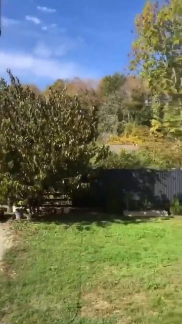 Банный чан - залог здорового духа. Prochan