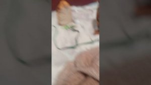 Миша! Бабки!!! 🎅.mp4