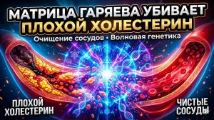 Матрица Гаряева против плохого холестерина | Очищение сосудов от бляшек
