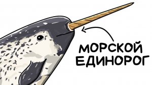 Ты - Нарвал (И ЭТО ВСЯ ТВОЯ ЖИЗНЬ)