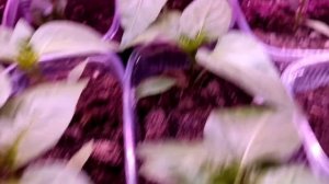 Четверг пролетел🤷