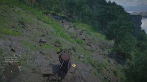 Где взять легендарного коня в Crimson Desert?