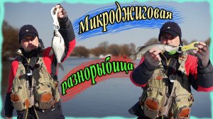 Микроджиговая разнорыбица! 4 вида рыбы на микроджиг!
