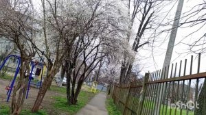 Прогулка по району