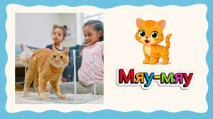 Учим животных для самых маленьких | Котик