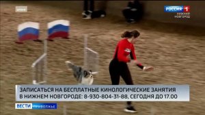 Детей вместе с их питомцами приглашают на бесплатные занятия в кинологические кружки