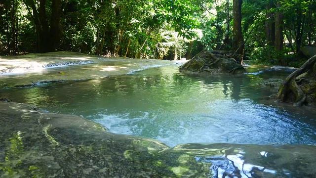«Лесная речка: мелодия воды и тишины»  «Умиротворяющий поток: звуки леса и музыка для души»