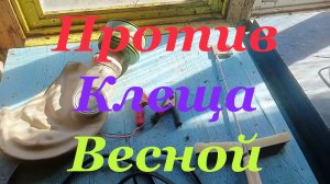 Весенняя обработка пчёл от клеща в пчельнике