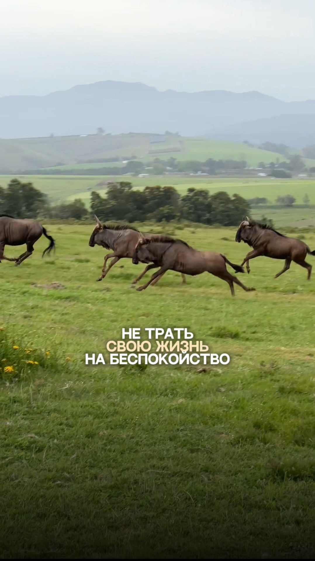 Как накопить на мечту