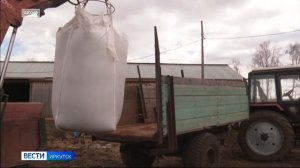 Почти 600 тысяч гектаров составят посевные площади Иркутской области в этом году