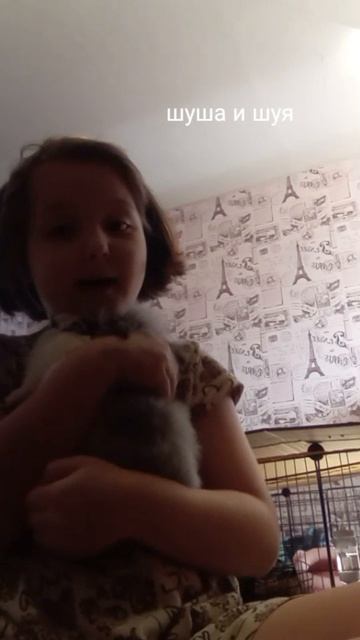 я люблю моих кролав