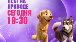 Псы на проводе - Сегодня. 19:30 (Канал Disney)