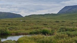 Плато Укок. Алахинское озеро на машинах 2025г Часть 2