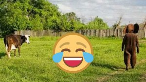 САМАЯ СМЕШНАЯ ПОДБОРКА ПРИКОЛОВ || Я РЖАЛ ДО СЛЕЗ / НОВЫЕ ПРИКОЛЫ ЗА МАРТ / ПРИКОЛЫ 2026