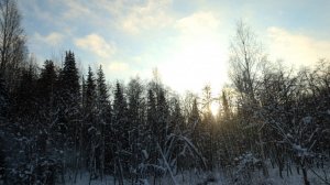 Еда со свалки и вода из реки: преступник восемь лет скрывался в тайге