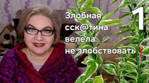1 часть. Злобная сск@тина велела не злобствовать❗️