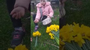 ЗАХОДИ ТУТ ВЕСЕЛО